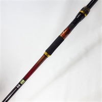 ２２大島フレイムホーク